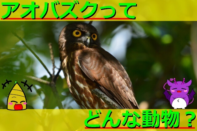 Thumbnail of post image 152